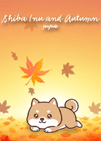 Shiba Inu and Autumn2_2