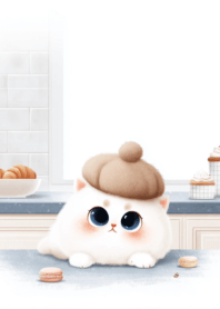 แมวอ้วนกลม น่ารัก_77