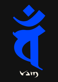 BONJI zodiac [vaM] BLACK BLUE (0826