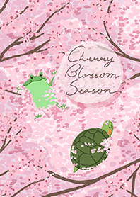 Guagua's Cherry Blossom Season