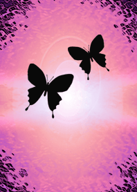 蝶＿butterfly twins.