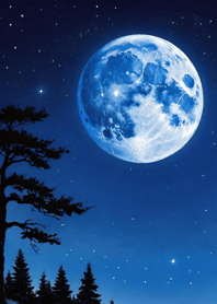 Starry Night Universe LWpXC