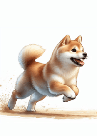 快樂小跑：柴犬的愉快步伐