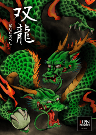 【双龍】テーマ｜絡み合い無限の力を得る