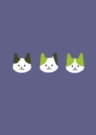 cat/green/navy blue