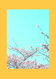 CHERRY BLOSSOMS & BLUE SKY-ORANGE