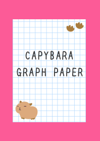 CAPYBARA GRAPH PAPER/FLASHY PINK
