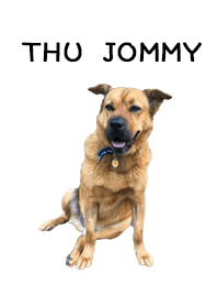 THU Jommy
