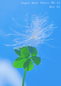 Angel Hair Photo#8-10Not AI