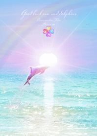 Good luck sun and dolphins