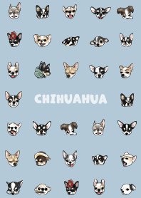 chihuahua2 - blue