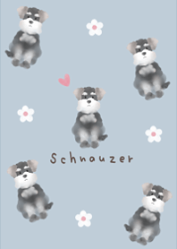 ミニチュアシュナウザー♪くすみブルー
