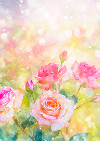 Beautiful rose flower(R1634)