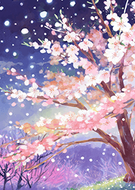 Beautiful night cherry blossoms#1139