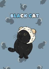 blackcat5 - pale denim .jp