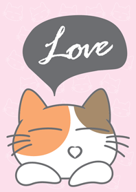 แมวสามสีกับธีมสีชมพู