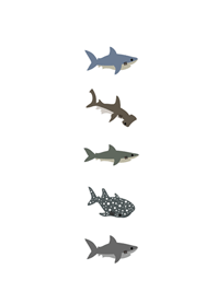 小小的鯊魚們(純白色)