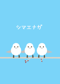 シマエナガ　ふわふわ