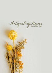 Antique dried flowers 12