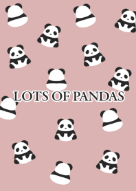 LOTS OF PANDAS/DUSTY PINK