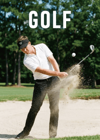 Theme of Golf13