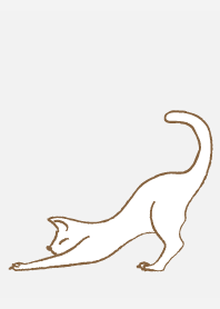 Stretching cat on white