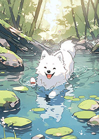 開心玩水的狗狗❤️