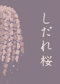 [R] Weeping cherry blossom + Mauve |os
