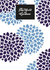 The World of Gardens ASTER.B