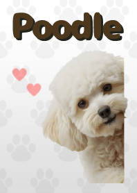 Toy Poodle Theme B/W 03