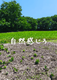 Nature's Embrace: Green Fields & Sky