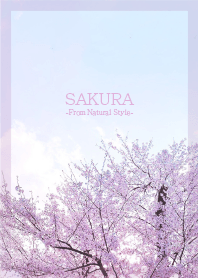 SAKURA　8／ナチュラルスタイル