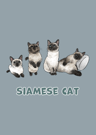 siamesecats3 - dusty blue