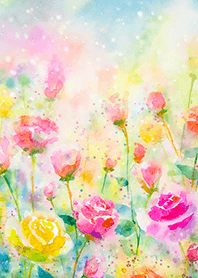 Beautiful rose flower(R3521)