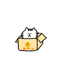 cool white cat