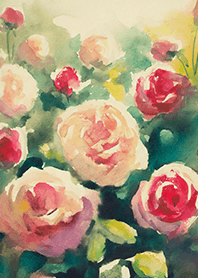 Beautiful rose flower(R4444)