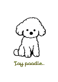 Toy poodle THEME 5