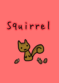 Small Squirrel