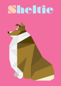 Sheltie(Sable)