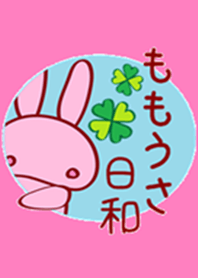 Pink rabbit weather