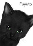 Fuyuto Cute black cat kitten