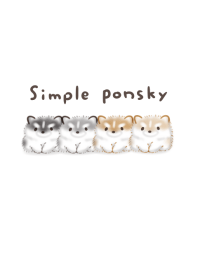 pomsky [Pomeranian Siberian Husky]