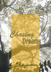 * Chasing Dreams *.