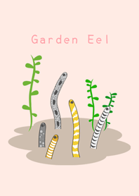 花園鰻魚-粉紅色系