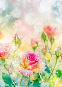 Beautiful rose flower(R1559)