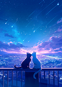 許願流星下の恩愛貓咪❤️