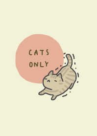 cats only!