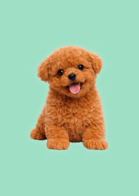 Plush Toy Poodle Green 05