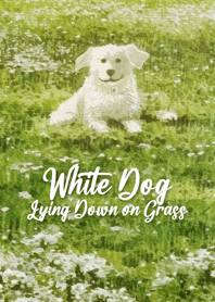 White Dog Lying Down on Grass