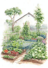 my vegetable garden pj